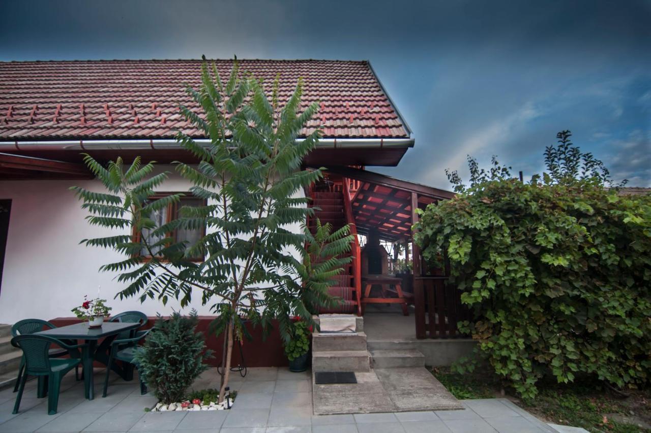 Hotel Dobra Haz Covasna Exteriér fotografie